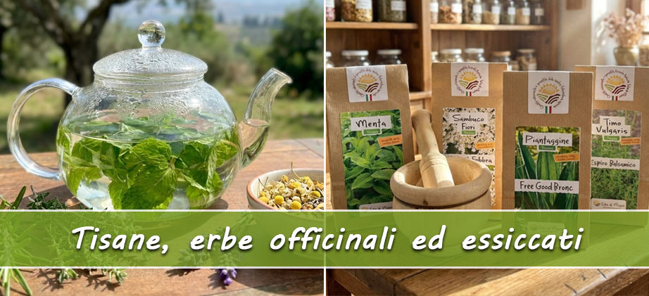 tisane erbe officinali
