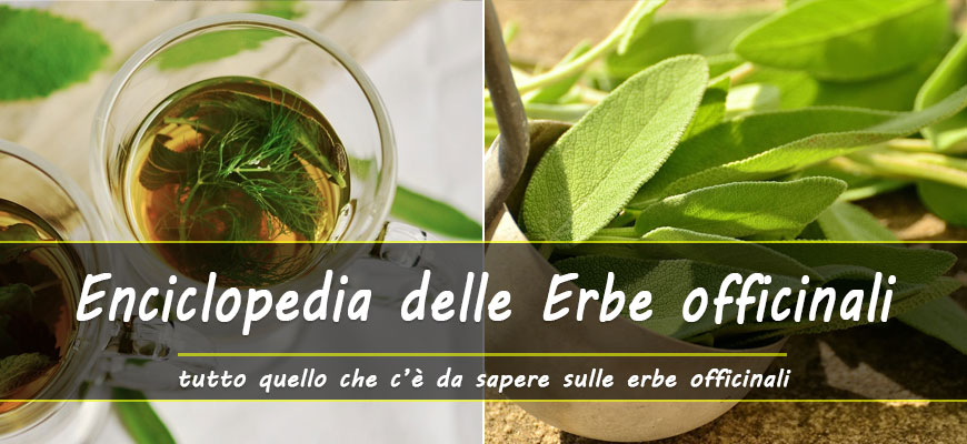 enciclopedia erbe officinali