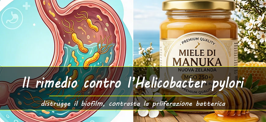 miele manuka rimedio helicobacter pylori