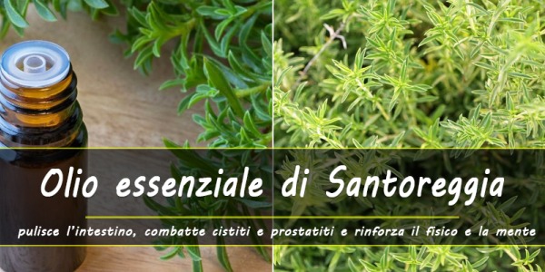 Olio essenziale di Santoreggia