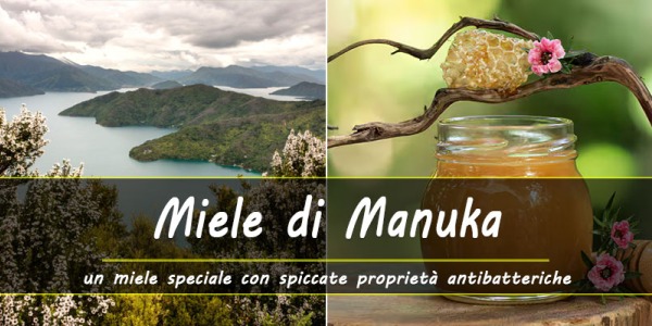 Benefici del Miele di Manuka: un miele speciale con spiccate proprietà antibatteriche