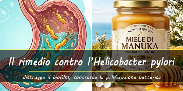 Dalla Nuova Zelanda un potente rimedio naturale contro l'Helicobacter pylori
