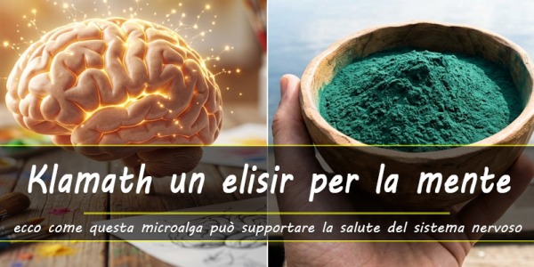 Alga Klamath, un elisir per il tuo cervello