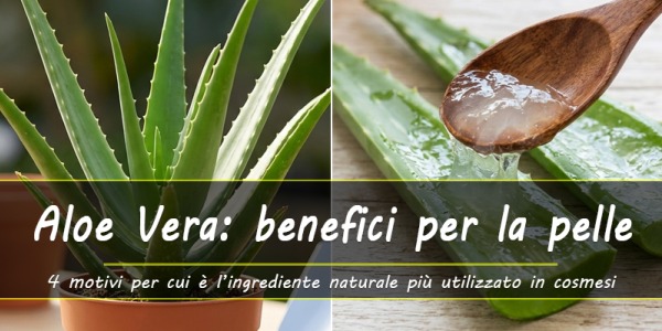 Benefici dell’Aloe Vera sulla pelle: 4 motivi per cui è l’ingrediente naturale più utilizzato