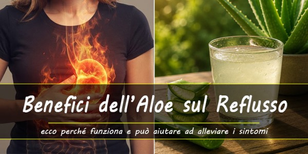 Aloe vera, un rimedio naturale contro il reflusso gastroesofageo. Ecco perché può aiuare 