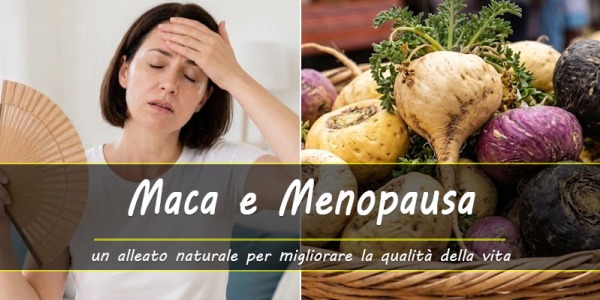 Maca e menopausa: un alleato naturale per vivere meglio questa fase della vita