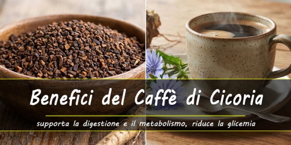Benefici del Caffè di Cicoria: un’alternativa al caffè, ma senza caffeina.