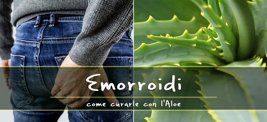 Aloe Vera per curare le Emorroidi. Come usare il succo e il gel di Aloe -  Erbe di Mauro